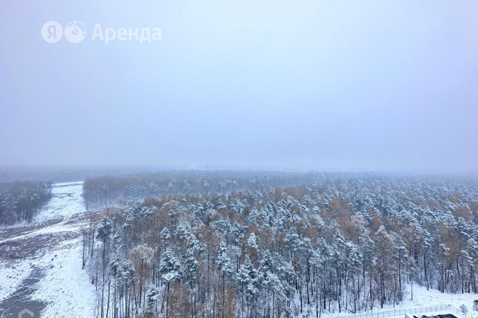 квартира городской округ Ленинский д Боброво ул Лесная 14 фото 10