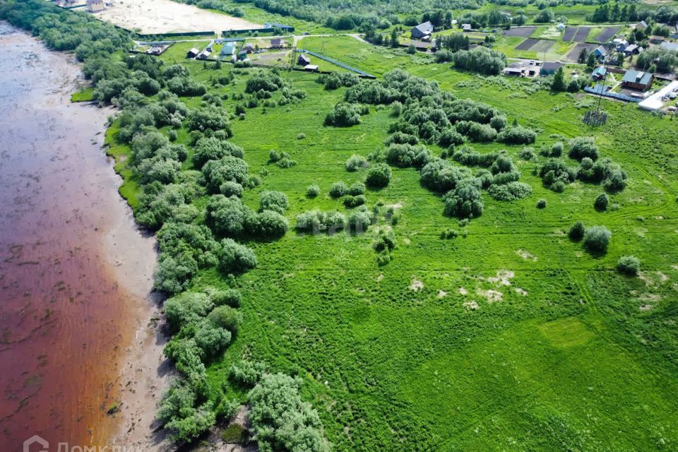 земля р-н Приморский деревня Личка фото 3