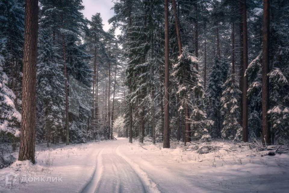 земля р-н Тюменский с Перевалово коттеджный посёлок Палитра фото 5