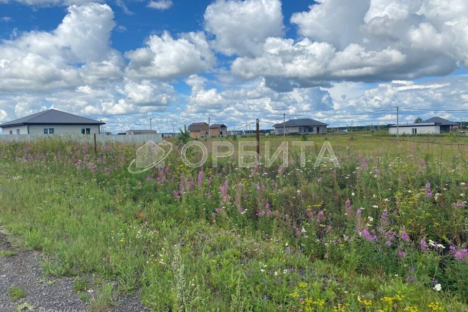 земля р-н Тюменский село Каменка фото 4