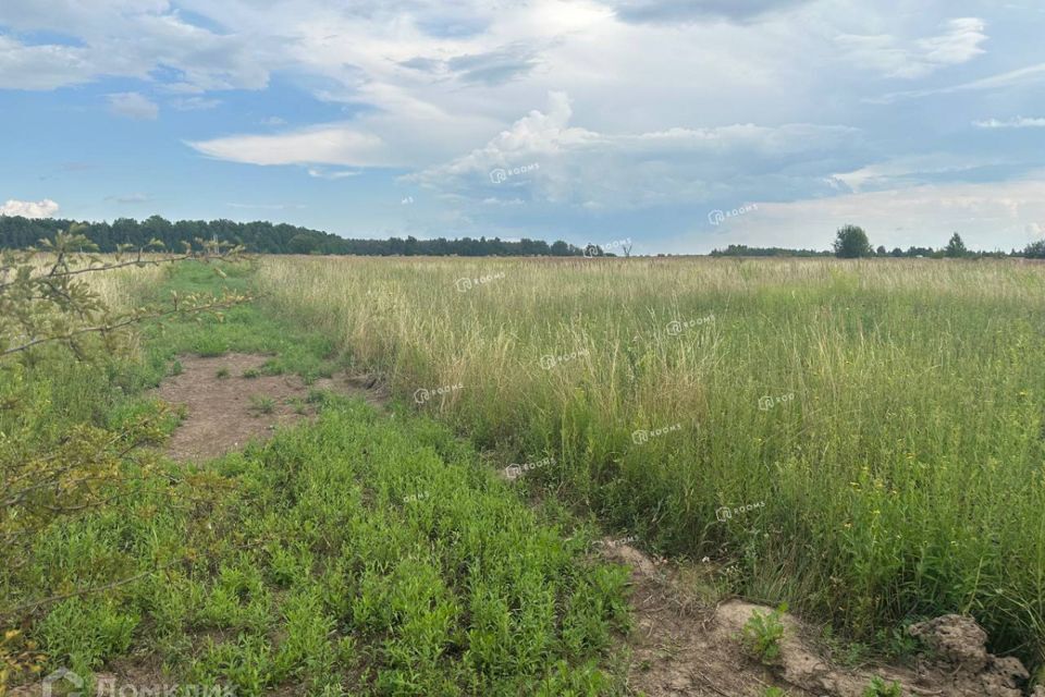 земля Тула городской округ, Юрьево фото 8