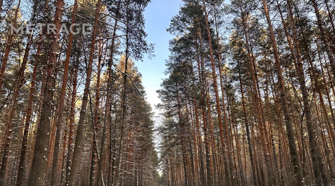 земля р-н Новосибирский снт Связист Криводановский сельсовет, ул. Лесная фото 6