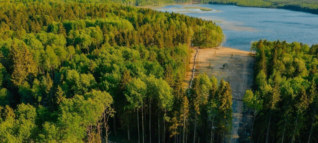 земля р-н Всеволожский Токсовское городское поселение, Экофорест кп фото 3