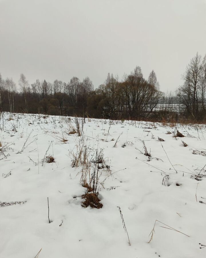 земля р-н Дзержинский г Кондрово ул Новая сельское поселение Никольское, с. Барятино фото 3