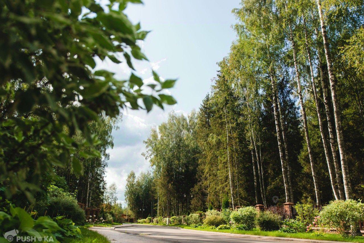 земля городской округ Рузский с Рождествено ул Магистральная 5 Сычево фото 17