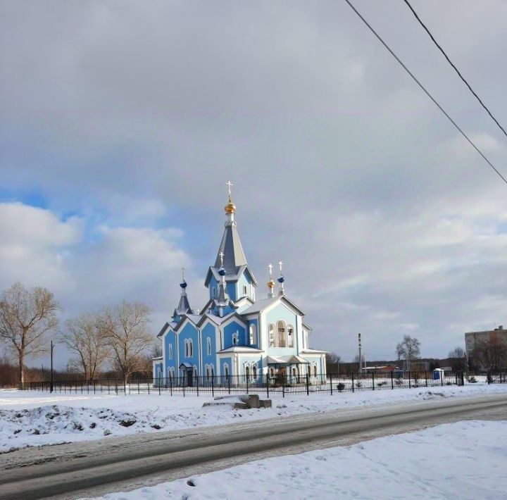 квартира г Нижний Новгород р-н Автозаводский Парк культуры ул Береговая 14 фото 18