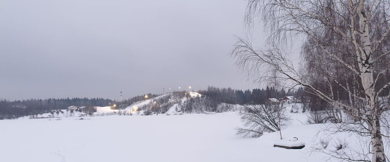 дом городской округ Дмитровский д Спас-Каменка 627 фото 11