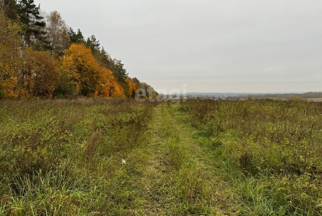 земля р-н Богородский д Бурцево ул Отрадное Парк Культуры фото 8