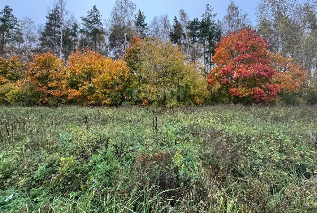 земля р-н Богородский д Бурцево ул Отрадное Парк Культуры фото 11