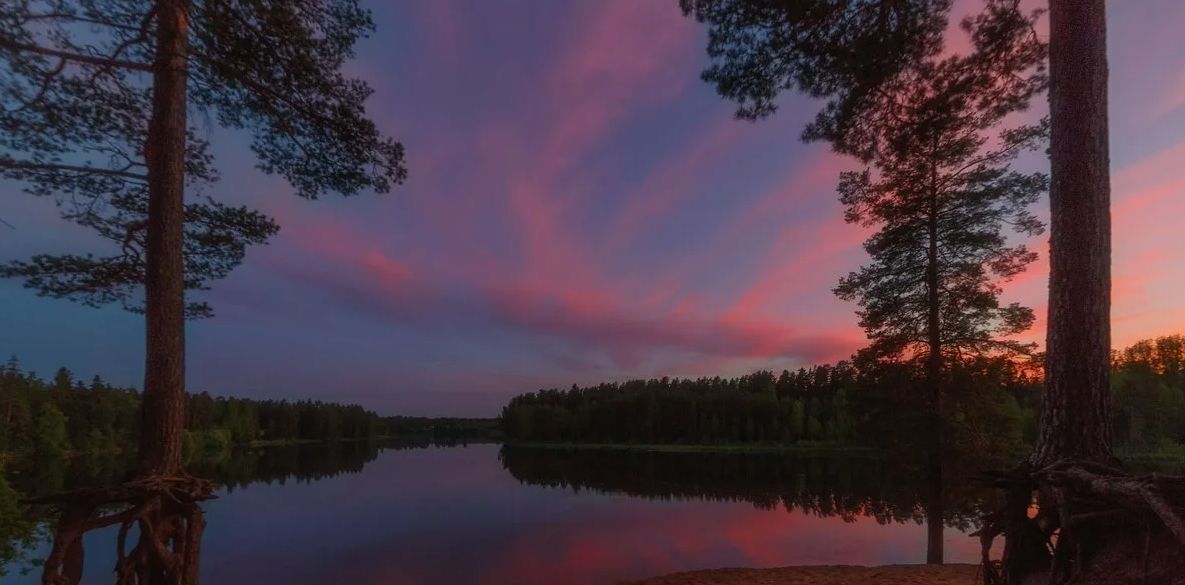 дом р-н Гатчинский Вырица городской поселок фото 15