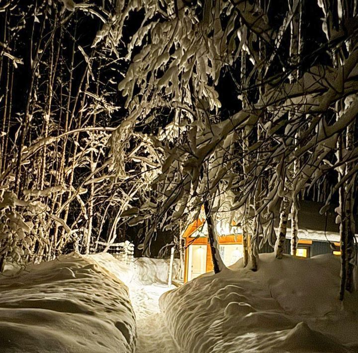 дом городской округ Волоколамский Тихая Горка садовое товарищество, 1 фото 11