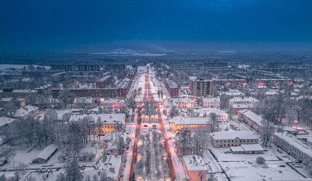 г Сланцы ул Максима Горького 1/11 Автово фото