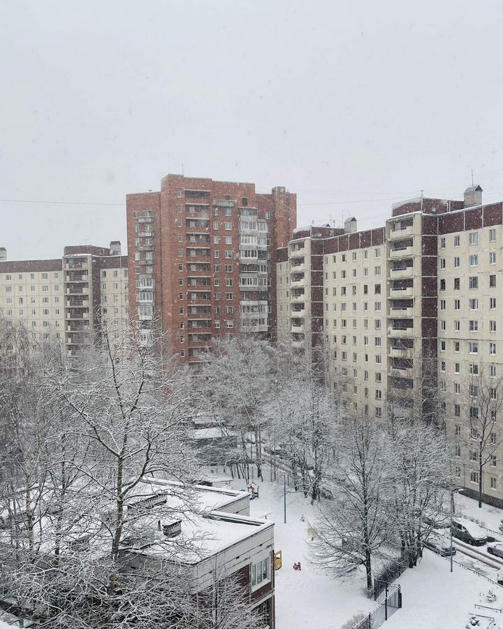 квартира г Санкт-Петербург метро Комендантский Проспект пр-кт Королёва 31к/1 округ Озеро Долгое фото 15