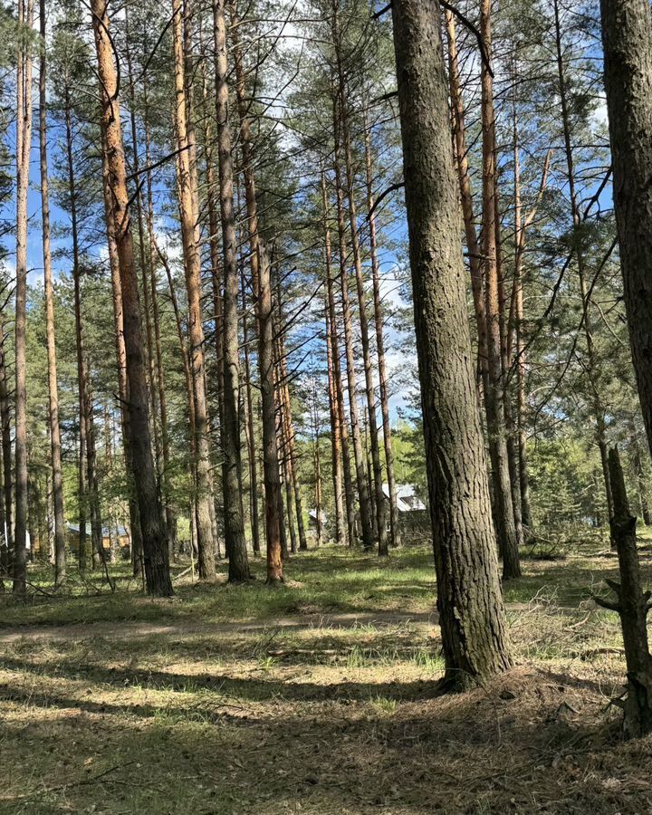 земля р-н Петушинский д Желудьево муниципальное образование Нагорное, Покров фото 1