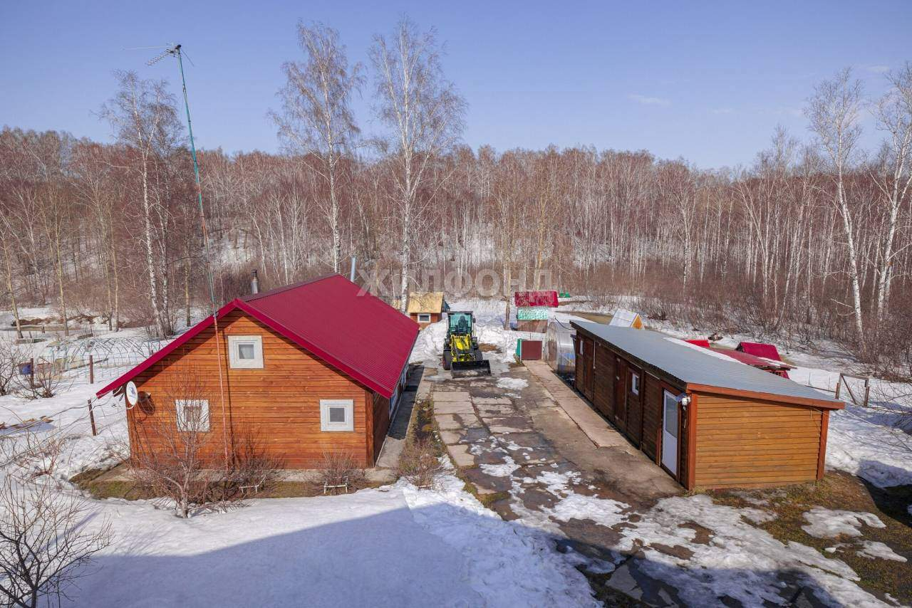 дом р-н Новосибирский с Раздольное ул Березовая фото 24