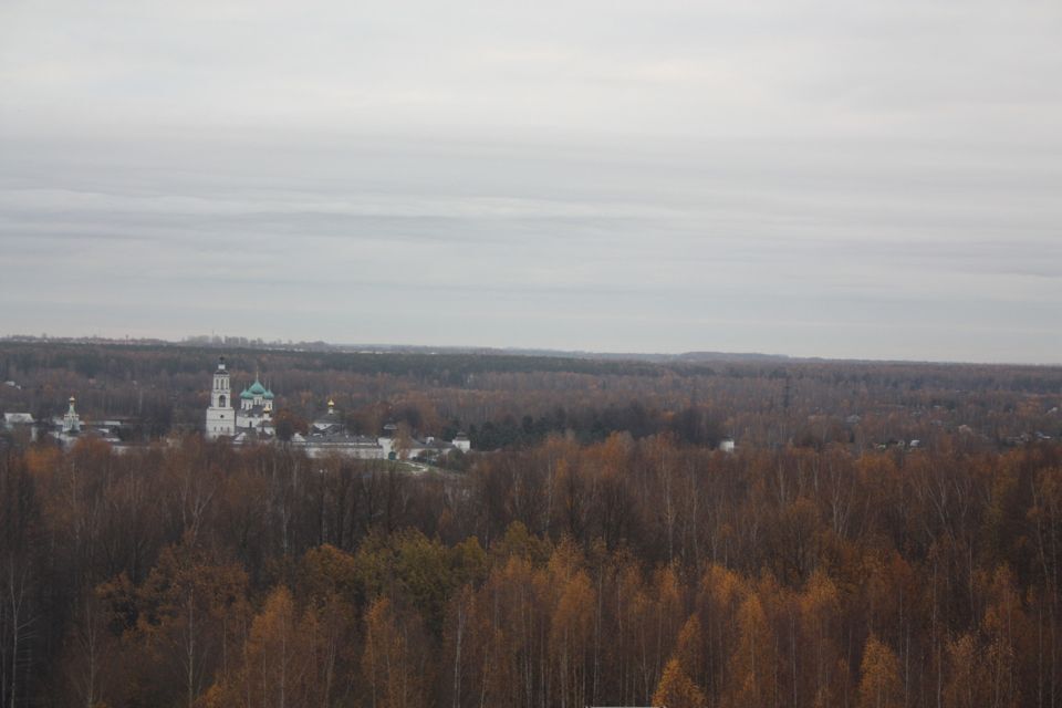 квартира г Ярославль р-н Дзержинский ул Спасская 2 ЖК «Павловский» Ярославль городской округ фото 10