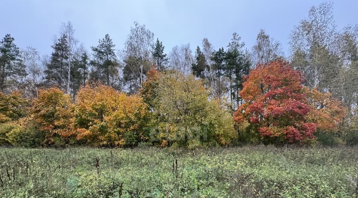 земля р-н Богородский д Бурцево ул Отрадное фото 7