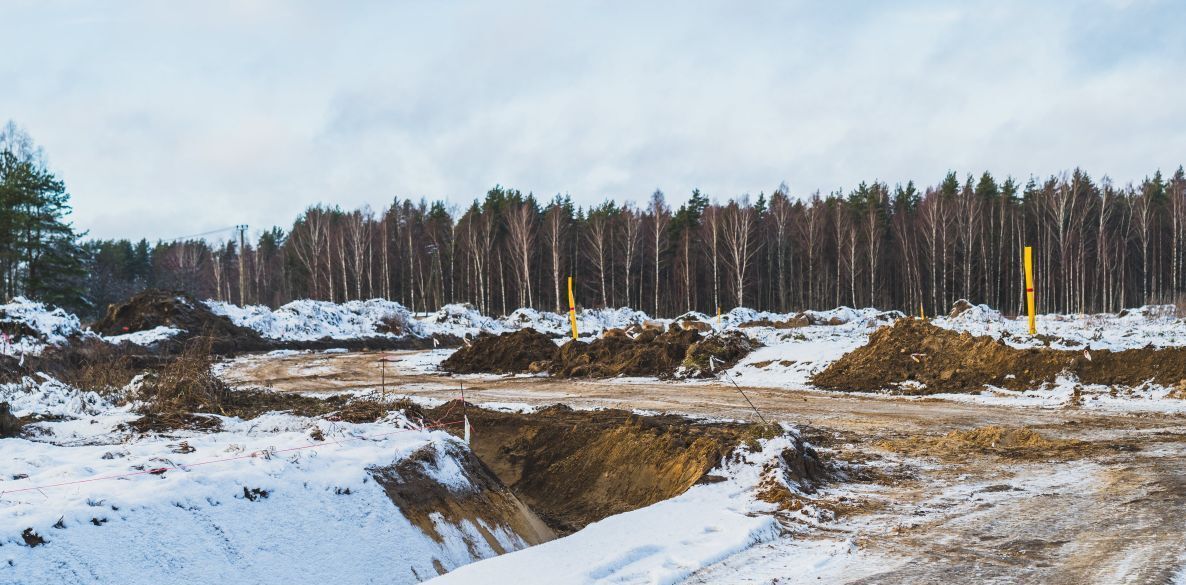 земля р-н Приозерский д Четверяково с пос, Константиновский кп, Красноозерное фото 4