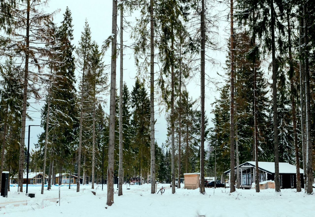 земля городской округ Солнечногорск д Никулино 52 км, 13, Солнечногорск, Ленинградское шоссе фото 36