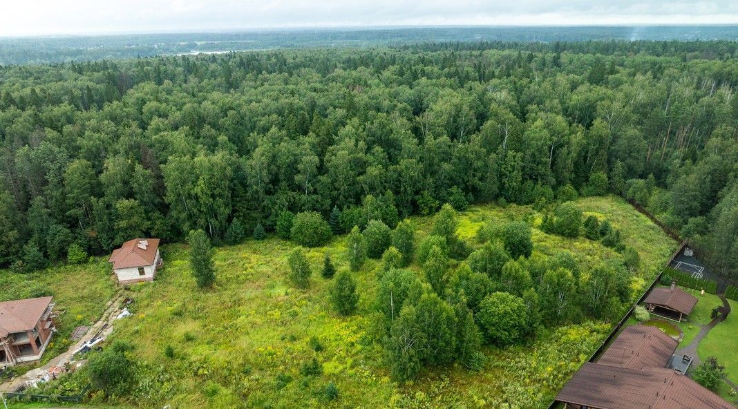 земля городской округ Мытищи д Степаньково ул Верхняя Парусная Хлебниково фото 5