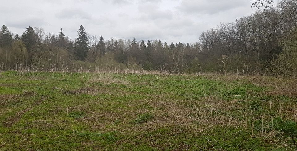 земля городской округ Солнечногорск д. Гончары фото 4