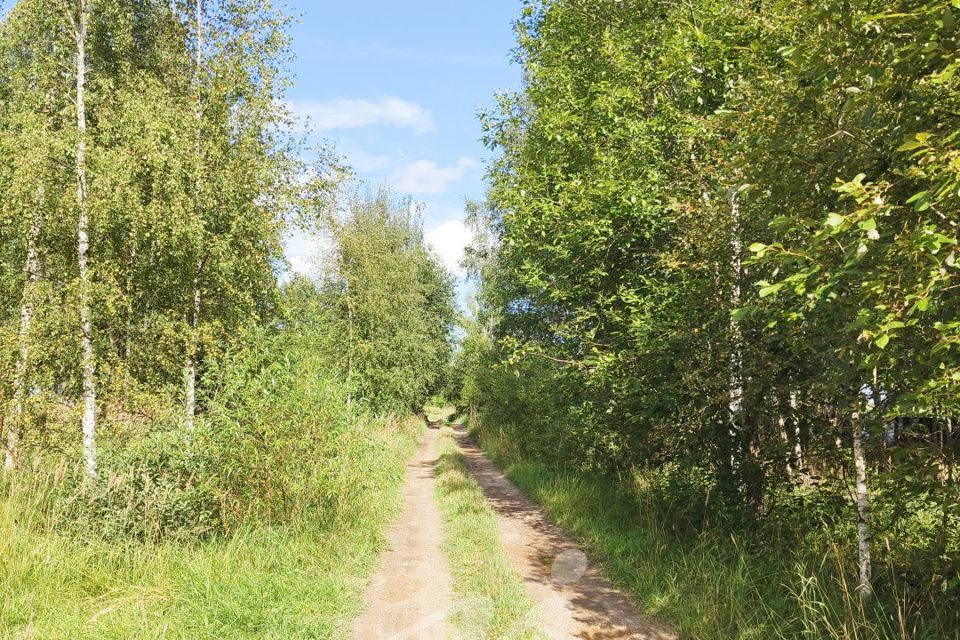 земля городской округ Клин д. Мужево фото 1