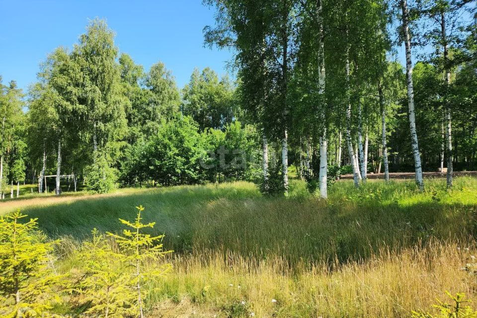 земля р-н Лужский тер Лесная гавань, 16, Приозерский муниципальный район фото 1