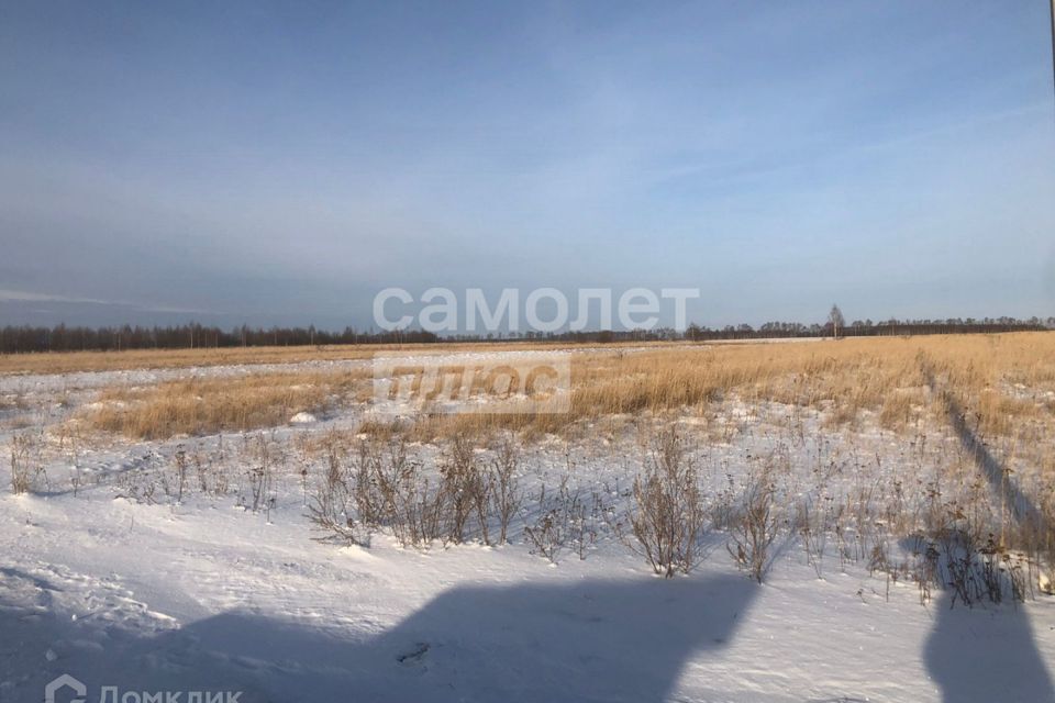 земля городской округ Луховицы д. Павловское фото 1