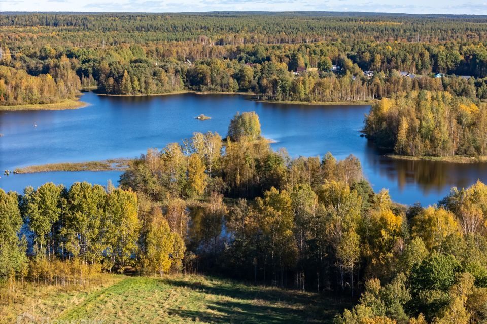 земля р-н Приозерский фото 1