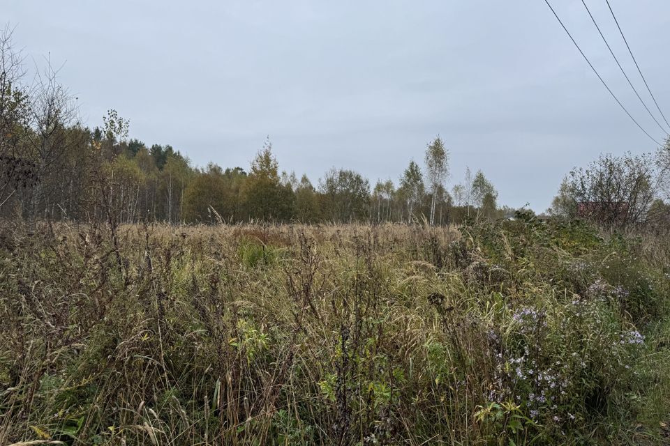 земля городской округ Чехов с. Ивановское фото 3