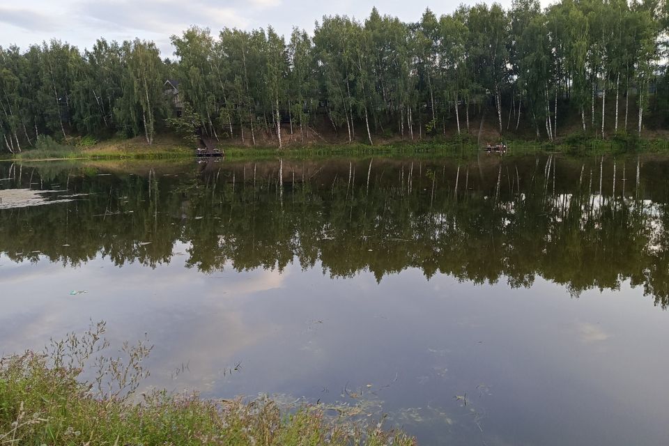 земля городской округ Мытищи д Подрезово снт Подрезово 139/2 фото 2