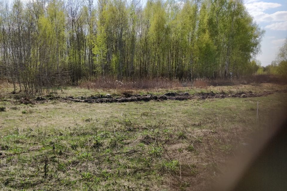 земля городской округ Раменский д Петровское ул Школьная фото 4