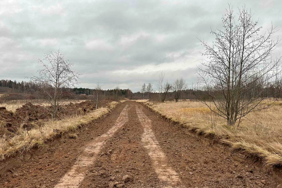 земля городской округ Дмитровский д. Ассаурово фото 2