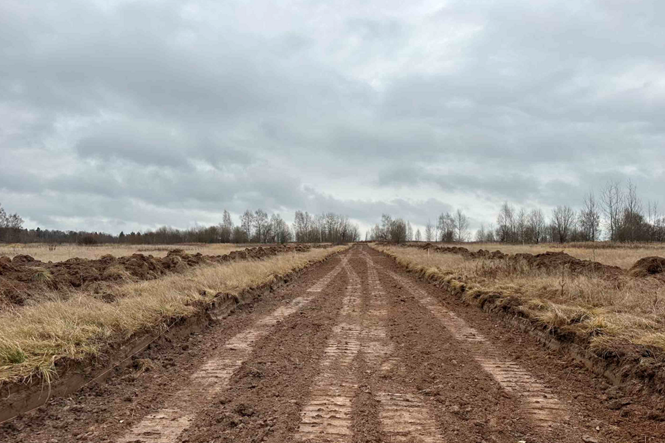 земля городской округ Дмитровский д. Ассаурово фото 2