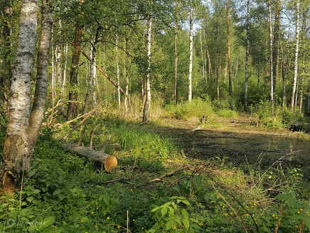 земля городской округ Раменский рп Ильинский ул Краснознаменная фото 1