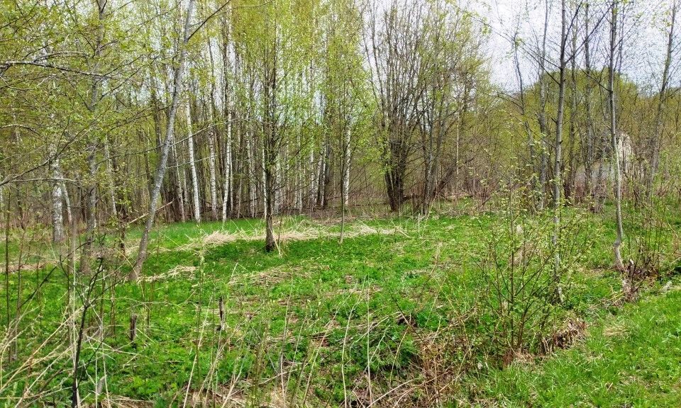 земля городской округ Шаховская д Городково снт Корешки 45 фото 10