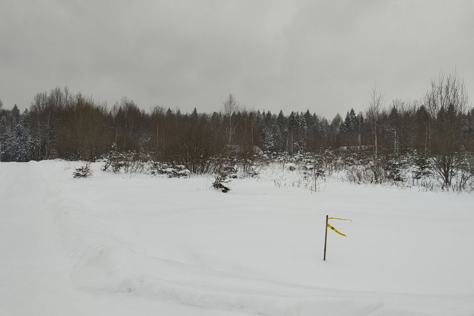 земля городской округ Дмитровский д. Никулино фото 3