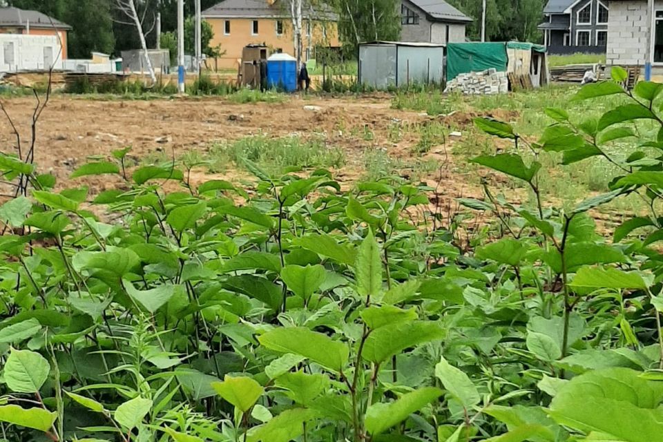 земля городской округ Ленинский д Петрушино 6-я улица фото 5