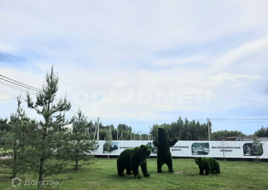 земля городской округ Раменский Коттеджный посёлок Фенино Лесное фото 9