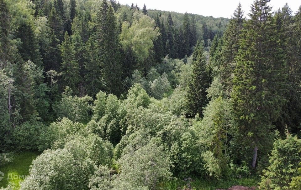 земля городской округ Дмитровский Коттеджный посёлок «Изумрудный» фото 7