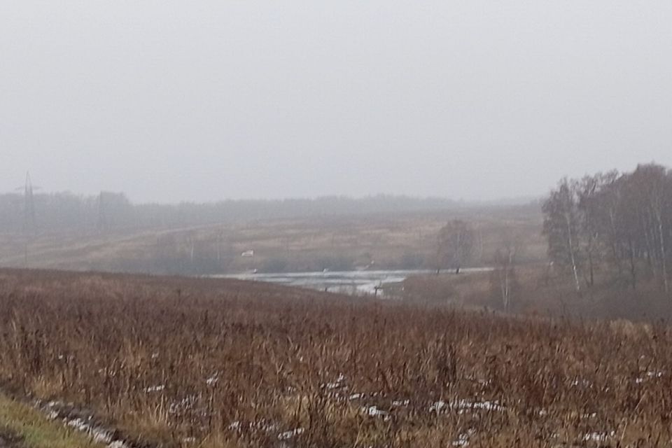 земля городской округ Серпухов д. Большое Грызлово фото 9