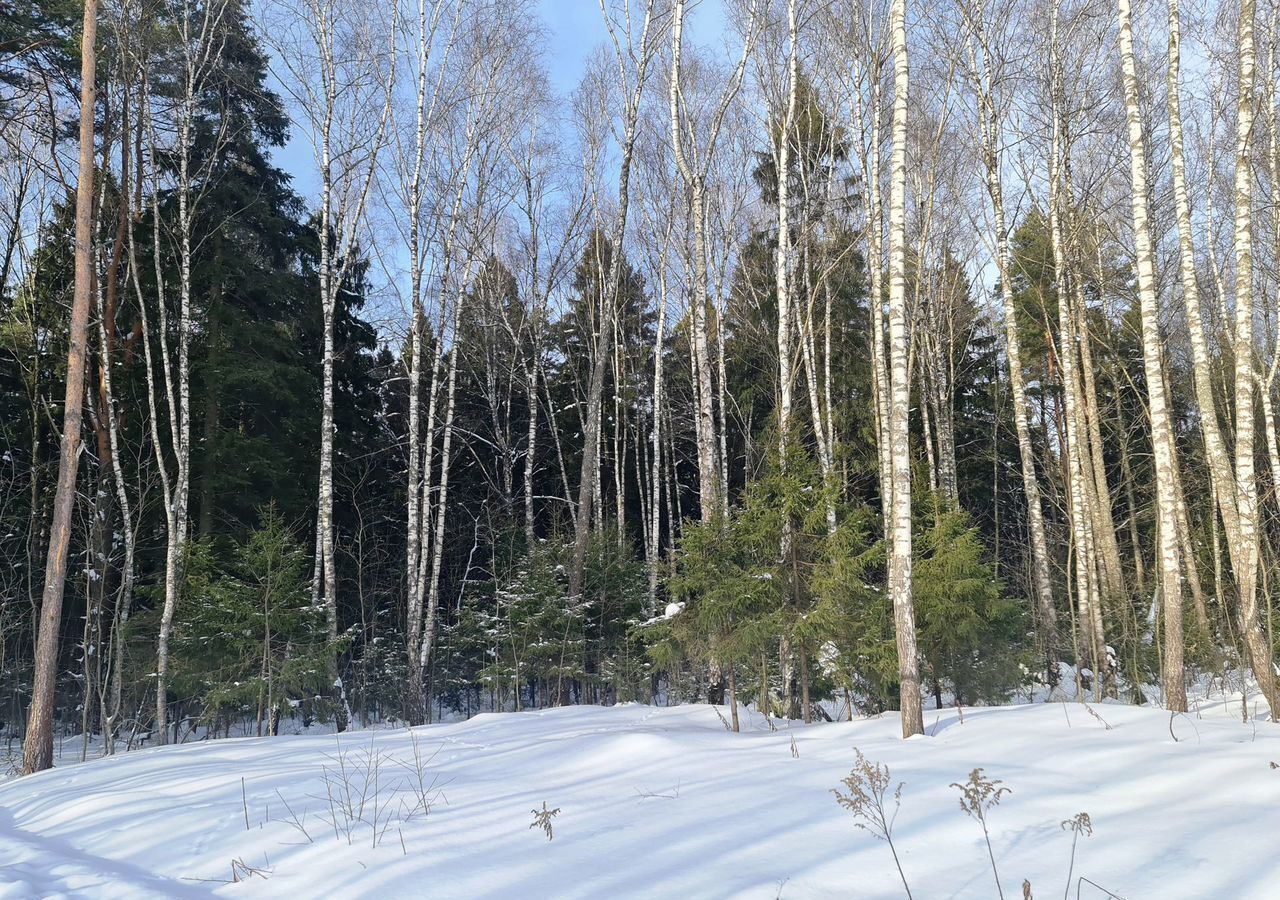 земля городской округ Подольск 24 км, д. Пузиково, Симферопольское шоссе фото 3