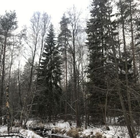 д Матокса ул Хвойная Куйвозовское с/пос фото