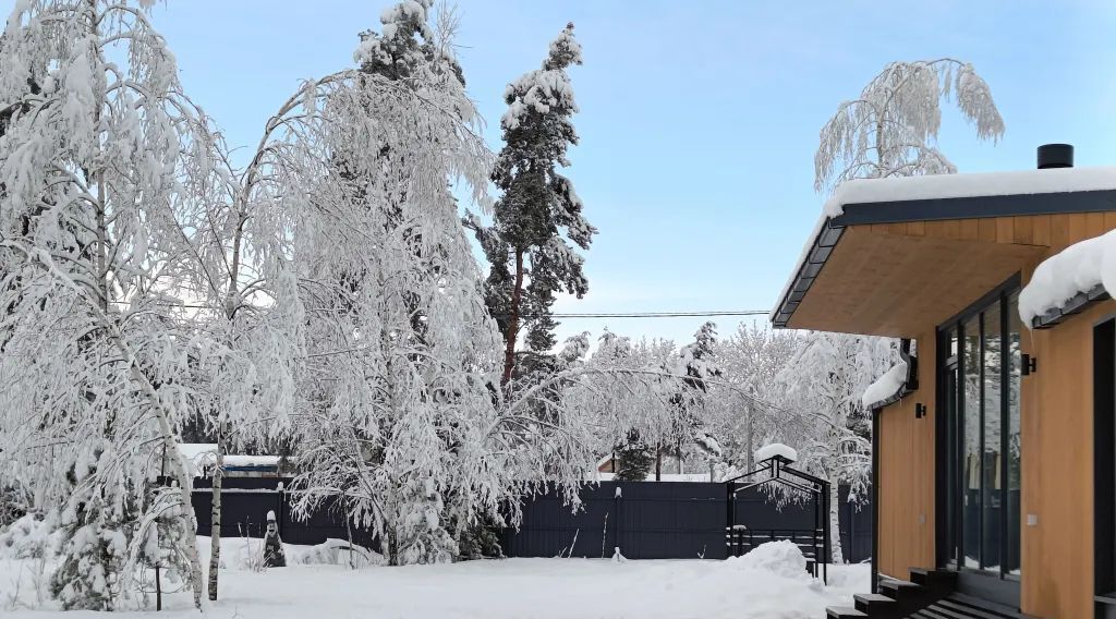 дом городской округ Орехово-Зуевский д Чистое 4В фото 1