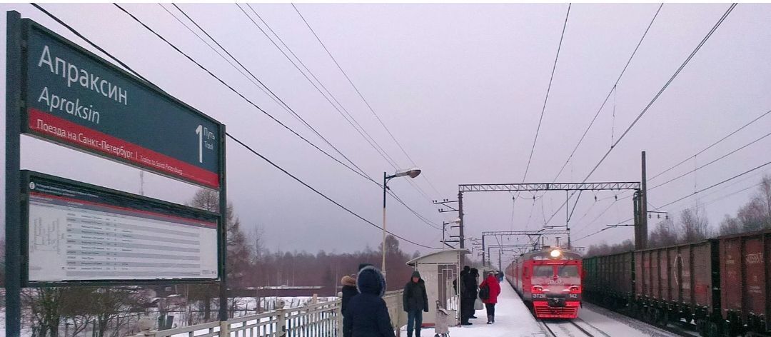 дом р-н Кировский массив Апраксин снт Луч ул 2-й луч 21 Мгинское городское поселение фото 2