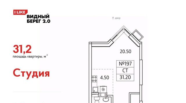 мкр Купелинка ЖК «Видный Берег - 2» Бирюлёво фото