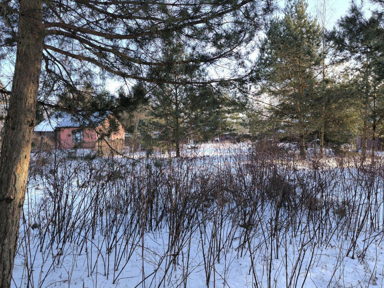 земля городской округ Раменский с Речицы ул Садовая 21 фото 1