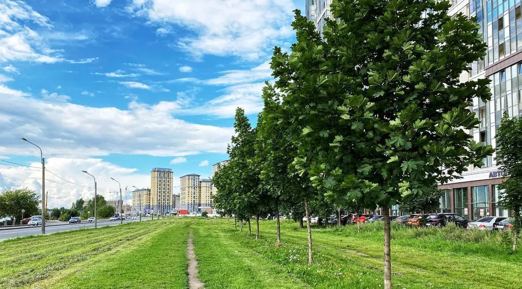 квартира г Санкт-Петербург метро Улица Дыбенко наб Октябрьская 44 ЖК «Полис на Неве» округ № 54 фото 28