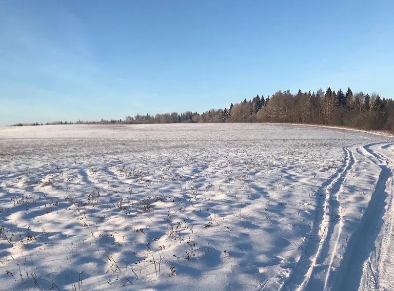 дом городской округ Сергиево-Посадский 41Д, д. Напольское фото 20