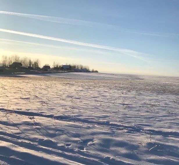 дом городской округ Сергиево-Посадский 41Д, д. Напольское фото 26